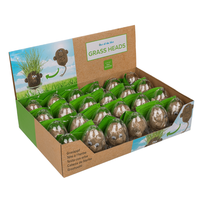 Grow Your Own Grass Head Plant Pot