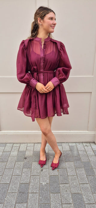 Clara Burgundy Dress
