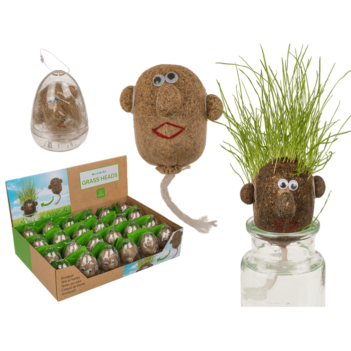 Grow Your Own Grass Head Plant Pot