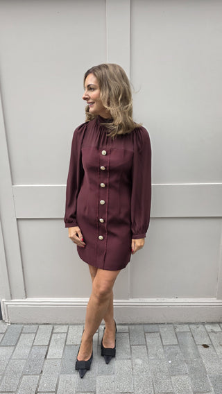 Victoria Burgundy Dress