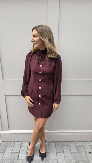 Victoria Burgundy Dress