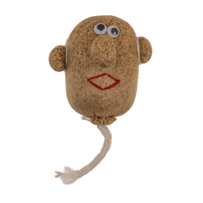 Grow Your Own Grass Head Plant Pot