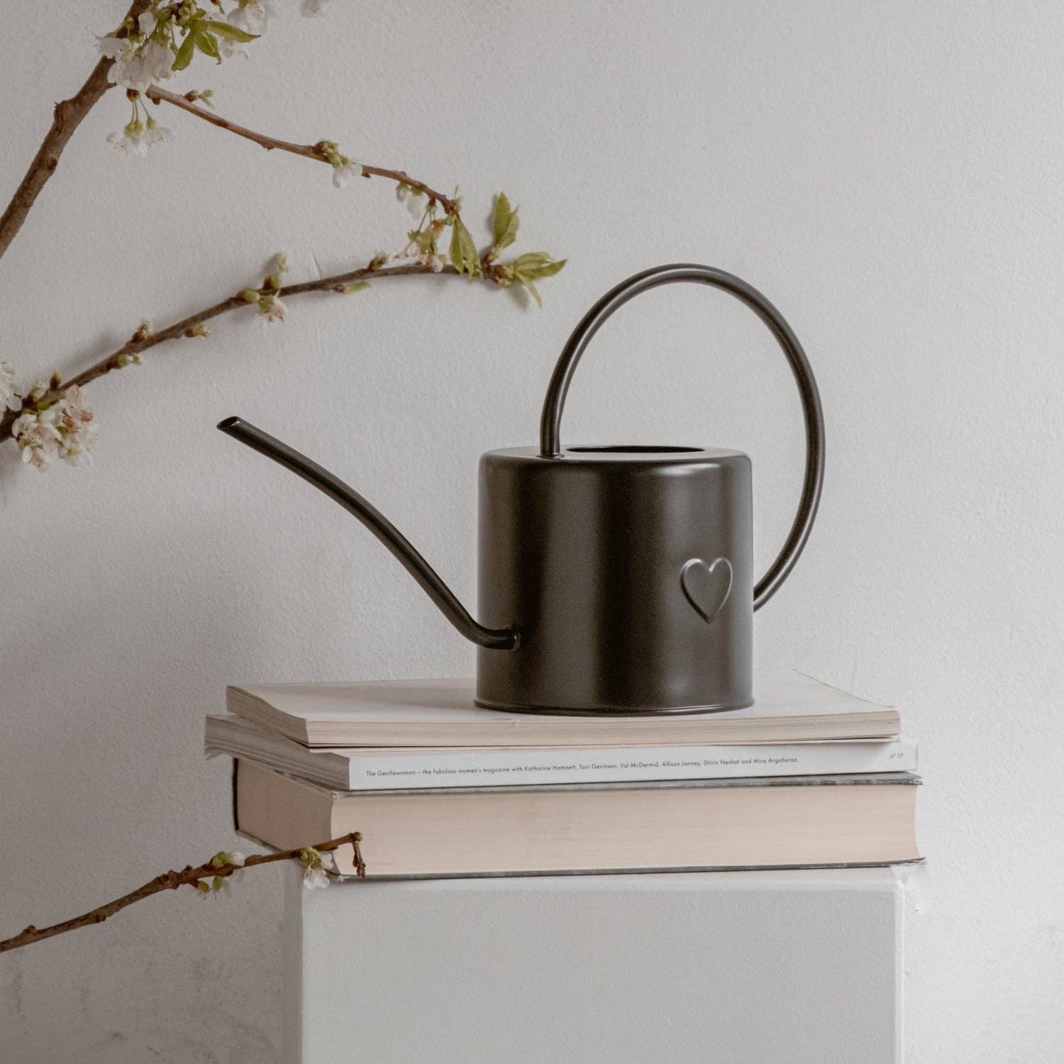 Black heart watering can